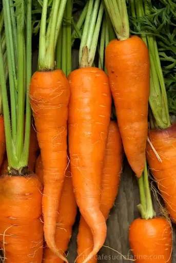 Carrots